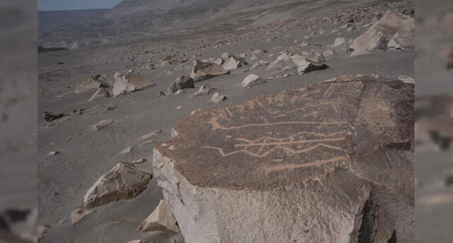 Arequipa: Culminan trabajos para que Toro Muerto sea declarado Patrimonio de la Humanidad