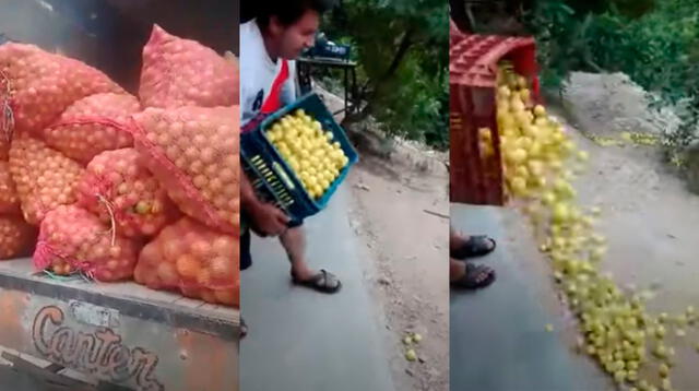 Tiran frutas a la carretera