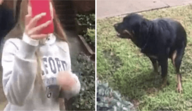 Facebook viral: mujer pasea a su perro y se niega a recoger su excremento, su vecina la avergonzó [VIDEO] 