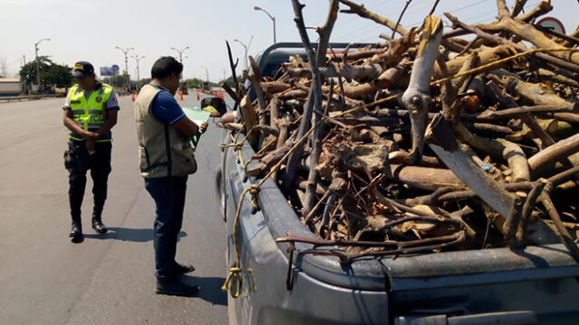 Trujillo: fiscalizan transporte de productos forestales 