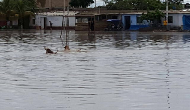 Lambayeque: 25 casas colapsadas y más de tres mil damnificados en sector Cahuide y otros| FOTOS Y VIDEO
