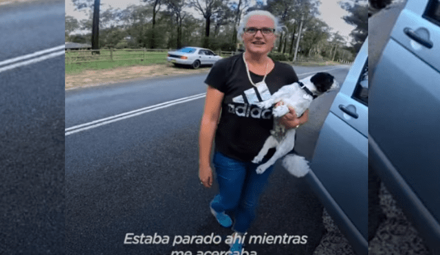 Video es viral en Facebook. Motociclista vio al perro caminando en medio de la autopista y se detuvo para sacarlo del peligro y esperar por horas a que sus dueños aparezcan. Fotocaptura: YouTube