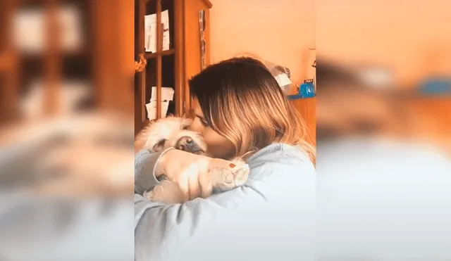 Desliza las imágenes para conocer el amoroso comportamiento de un perro al recibir un abrazo de su dueña. Foto: Captura.