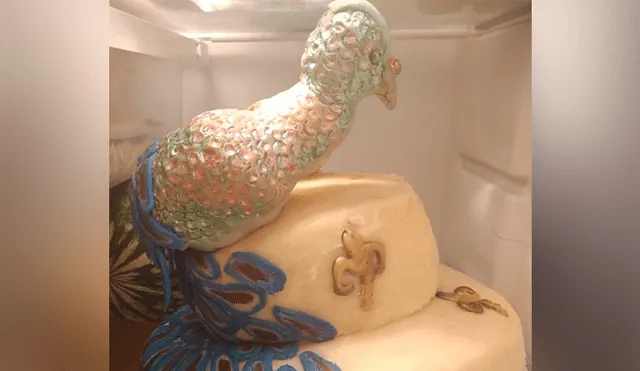 pastel pavo real torta