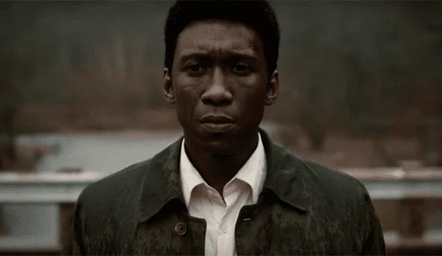 True Detective: ¿Existirá una cuarta temporada de True Detective? HBO lo responde