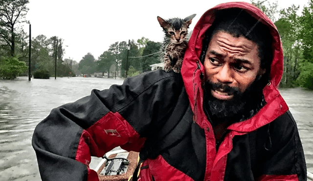 Huracán Florence: “Survivor”, el gatito que fue rescatado de las inundaciones