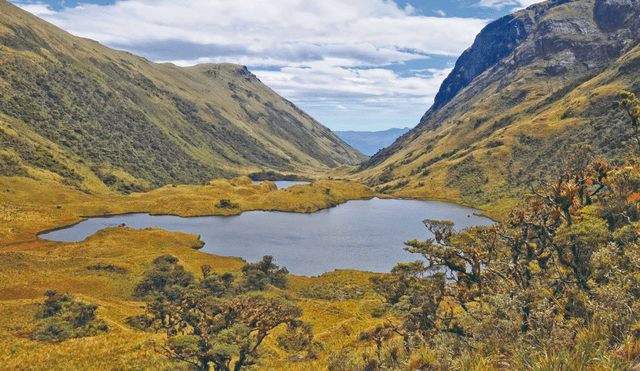 Las lagunas de las Huaringas, ubicadas en Piura, son conocidas por su poder curativo. Foto: Instituto de Montaña