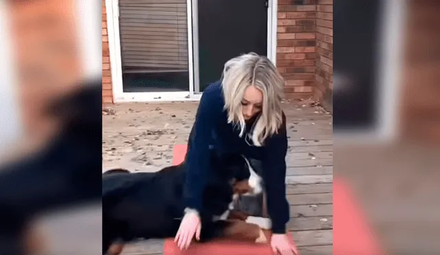 En Facebook, una joven intentó realizar un tutorial de yoga en su casa y no imaginó que su perro lo evitaría.