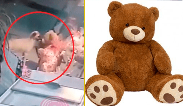 Facebook viral: perro cupido es captado robando un oso de peluche en San Valentín [VIDEO]