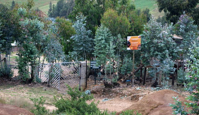 Mineros ilegales en cerro El Toro