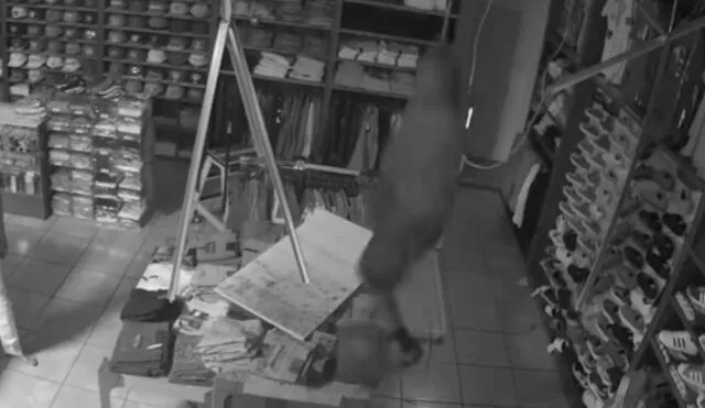 YouTube: Ladrón intentó asaltar tienda, pero entró en pánico por su torpeza