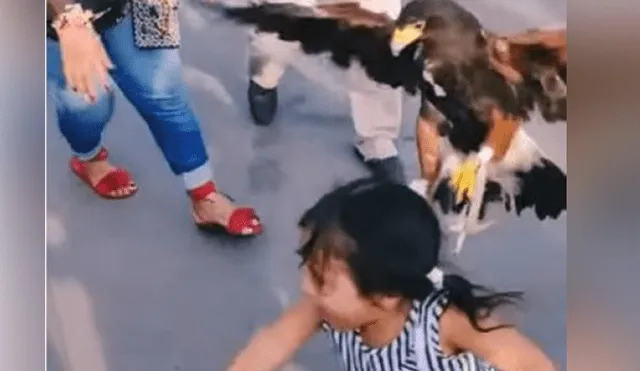 YouTube viral: enorme águila agarra a niña de los pelos y su madre se burla [VIDEO]