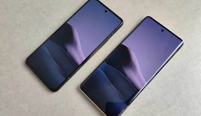 Los Xiaomi Mi 11 llegarán en la primera mitad de 2021. Foto: Gizmochina