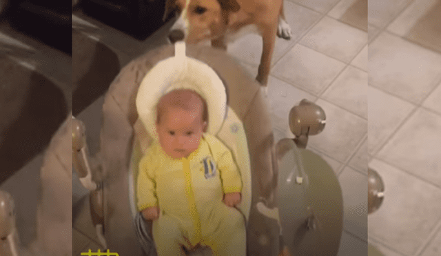 Video es viral en YouTube. Mujer mostró el vínculo especial que tiene su perro con su hija desde que la vio por primera vez. Fotocaptura: YouTube
