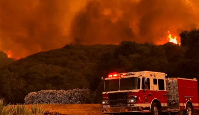 Se registraron incendios forestales en California. Foto: EPA