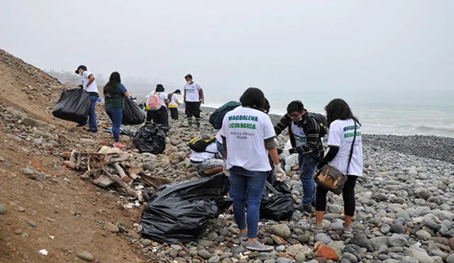Magdalena: realizan jornada de limpieza de playas