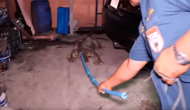 YouTube viral: revisan fierros retorcidos y hallan misteriosa criatura que intenta matarlos [VIDEO]
