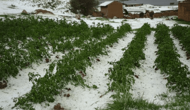Junín: Graves daños dejo fuerte lluvia y granizada en Huancayo