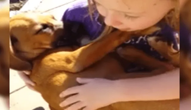 Facebook: Niña entona canción de cuna a su cachorro adoptado se vuelve viral [VIDEO]