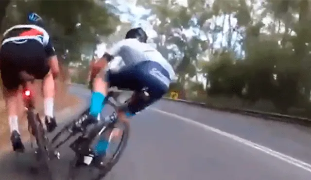 Ciclistas se accidentan al atropellar a curioso animal [VIDEO]