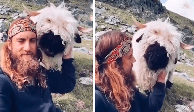 En YouTube, un joven daba un paseo por los campos de Suiza y encontró un enorme animal peludo.