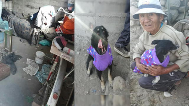 Anciano y sus diez perritos recibieron ayuda en Arequipa  [FOTOS]