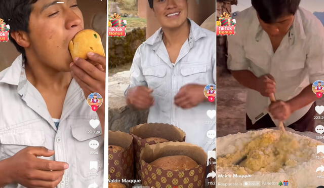 Tiktoker peruano enseña a preparar panetón. Foto: elaboración Luis Fernando Apaza