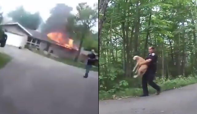 Perro es rescatado por un policía en una casa en llamas en Estados Unidos. Foto: RT