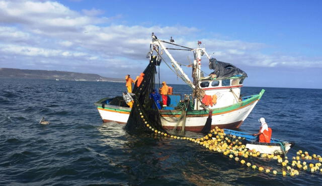 Produce: se formalizarán 15 mil embarcaciones pesqueras al 2020