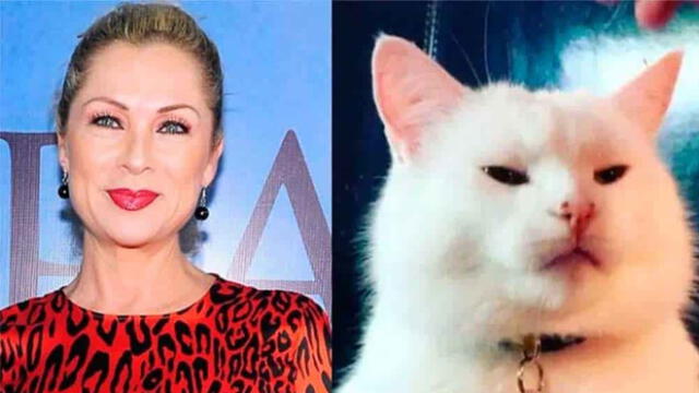 La mexicana Leticia Calderón abandonó el set de la telenovela “Imperio de Mentiras” por culpa de un gato que apareció en el jardín donde se realizan las grabaciones.