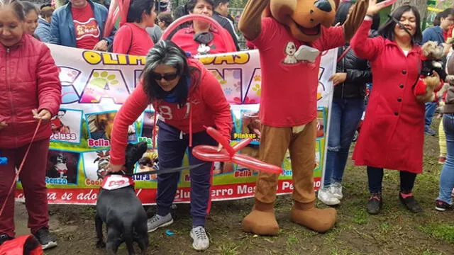 Jesús María: decenas de mascotas participaron en “Olimpiadas Caninas 2019” [FOTOS]