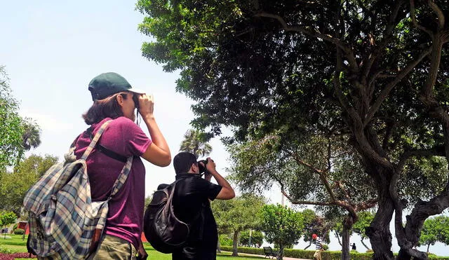 Naturaleza en tu ciudad, un concurso de WWF que impulsó fotografiar la fauna silvestre urbana