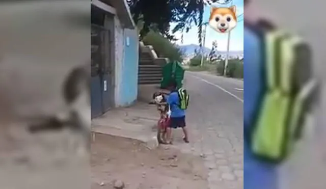Las imágenes del niño poniéndose mascarilla y a su perro han dado la vuelta al mundo. Foto: Captura/Facebook/San Bartolomé Pinillo