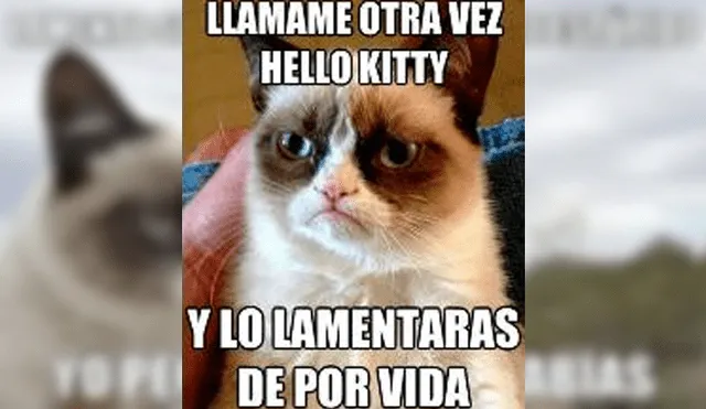 Facebook viral: miles lloran a Grumpy Cat, la gata más famosa del Internet, que acaba de morir [FOTOS]
