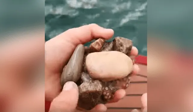 Un pescador se llevó una aterradora sorpresa al encontrarse una misteriosa piedra en una bahía.