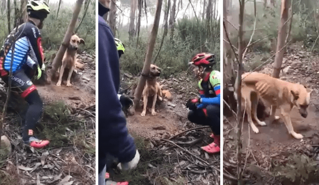 YouTube viral: ciclista detiene su recorrido para rescatar a perro atado a un árbol [VIDEO]