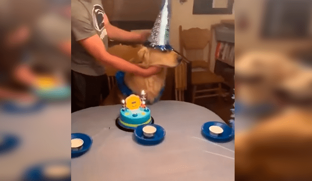 En Facebook, un perro ciego fue sorprendido por su dueño, quien le preparó una fiesta de cumpleaños.