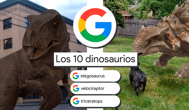 Si tienes estos smartphones, puedes ver animales 3D de Google en tu propia  casa