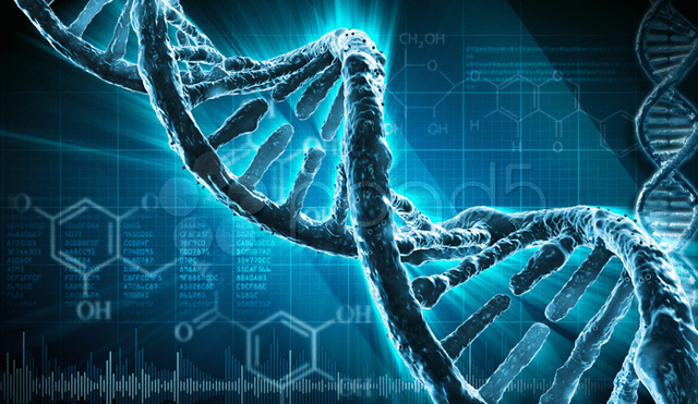 La llamada "edición principal" permite a los científicos manipular el ADN | Foto: Difusión