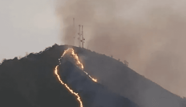 Incendio forestal en Chanchamayo amenaza a la ciudad de La Merced. Foto: Captura