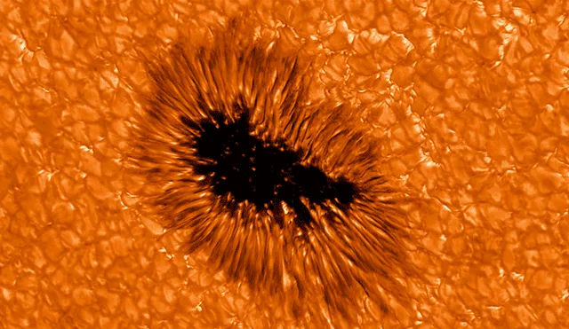 Imagen de una mancha solar observada por el telescopio Gregor. Foto: Leibniz-kis.de