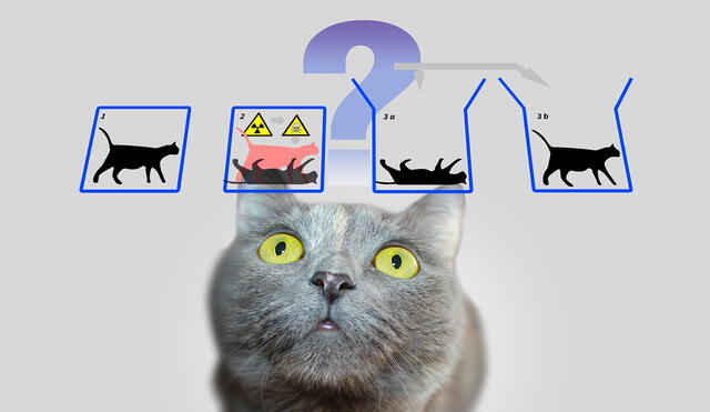 El gato de Schrödinger. Cuando los átomos de un cuerpo no se ven, se comportan de forma distinta | Foto: Difusión