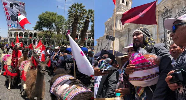 Arequipa: Elmer Cáceres Llica cumplirá su promesa de subir al Misti con 7 llamas [VIDEOS]