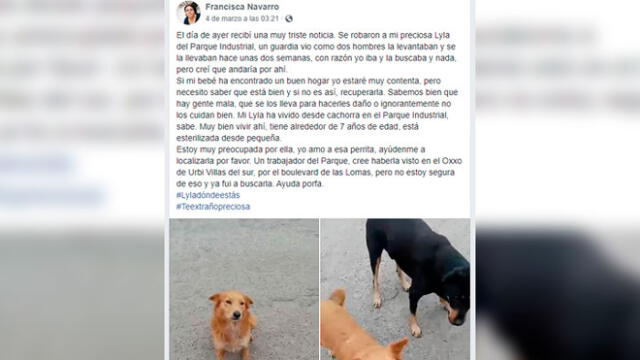 Dos hombres raptan a una perrita de siete años y al encontrarla descubren que fue abusada [VIDEO]  