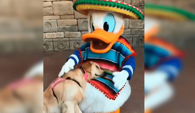 En YouTube, un perro acudió con su familia a un centro de diversiones de Disney y se encontró con el ‘Pato Donald’.