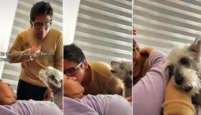 Joven se queja de su perrita “tóxica” porque le ladra cuando quiere acercarse a su madre