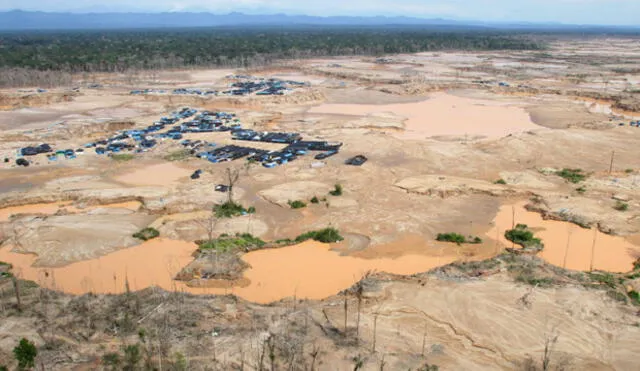 Gobernador regional de Madre de Dios decide erradicar la zona de minería ilegal conocida como La Pampa