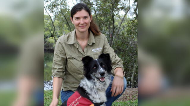 Romane Cristescu, la cuidadora y entrenadora de Bear, junto a otro de los perros entrenados para rescatar koalas.