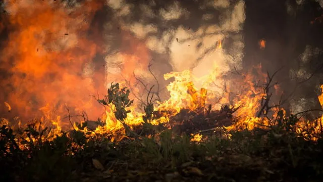 El Amazonas en llamas.