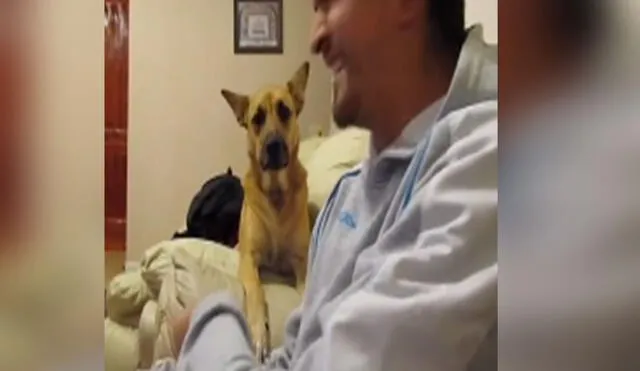 Desliza las imágenes para ver más detalles sobre esta entretenida 'conversación' entre un perro y su amo. Foto: captura de TikTok